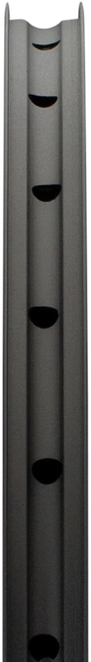 Dt-swiss RR 481 Disc 27,5" Felge 6 Dt-swiss RR 481 Disc 27,5" Felge – Bild 4