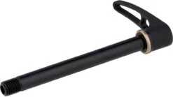 Dt-swiss RWS Road Steckachse Mit Schnellspannhebel 12 Dt-swiss RWS Road Steckachse Mit Schnellspannhebel -Fahrrad Rabatte 348243