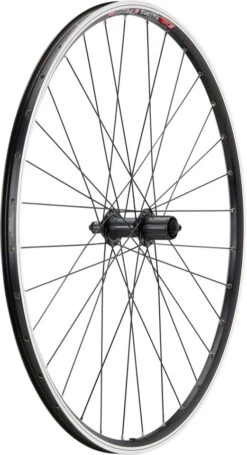 Urban Acera V-Brake DT Swiss 535 28" Laufradsatz -Fahrrad Rabatte 396792